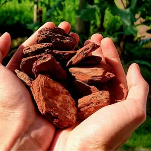 pine bark pakis cacah alas kandang reptile kura media tanam tanaman hias