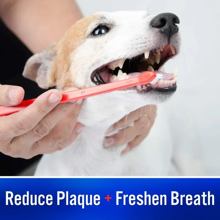 Virbac, C.E.T Enzymatic Toothpaste Dogs Cats Pasta Gigi Anjing Kucing 3