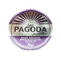 Gambar PAGODA PASTILES RASA ANGGUR 20 GRAM KALENG dari Apotek Shakila by GoApotik Kab. Lampung Selatan 3 Tokopedia