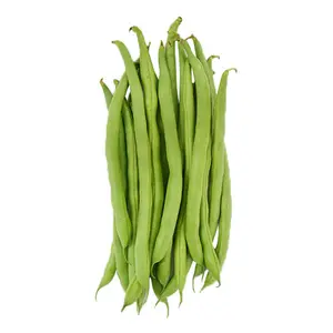 BUNCIS TW SEGAR 250-280 GRAM