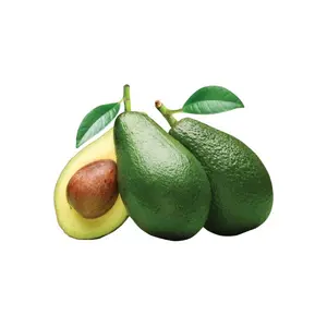 BUAH ALPUKAT 520-640 GRAM