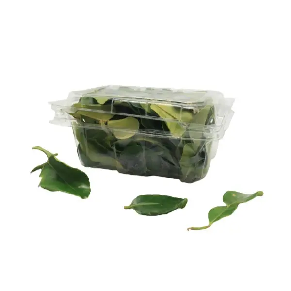 DAUN JERUK PACK