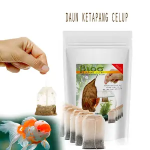 Ketapang kering bubuk celup untuk kesehatan ikan 10pcs sampai 50pcs C384