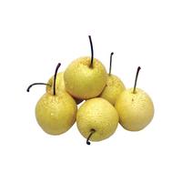 Gambar SWEET PEAR 430 GR - BUAH dari Foodmart Samarinda Kota Samarinda 1 Tokopedia