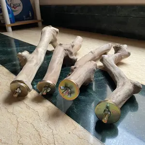 [Bisa Sameday] Tangkringan Kayu Kopi Diameter Panjang Besar untuk Sugar Glider Parrot dan Reptil ready silahkan di order