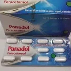 BerkahSehat- panadol biru
