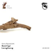 Jual New Hiasan Aquarium - Kayu Aquascape - Bahan …