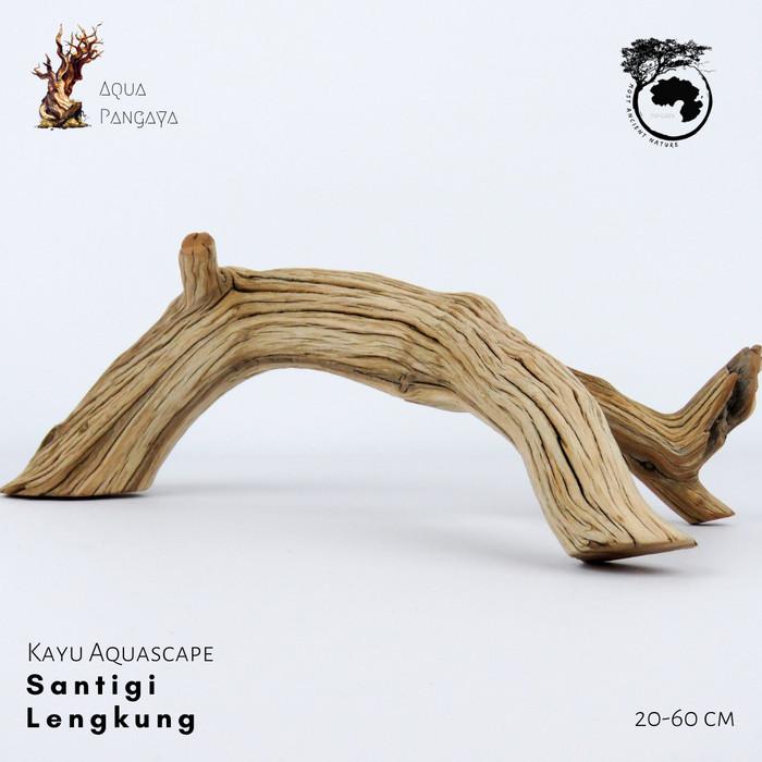 Jual New Hiasan Aquarium - Kayu Aquascape - Bahan …