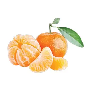 JERUK WOKAM 500-520 GR - BUAH