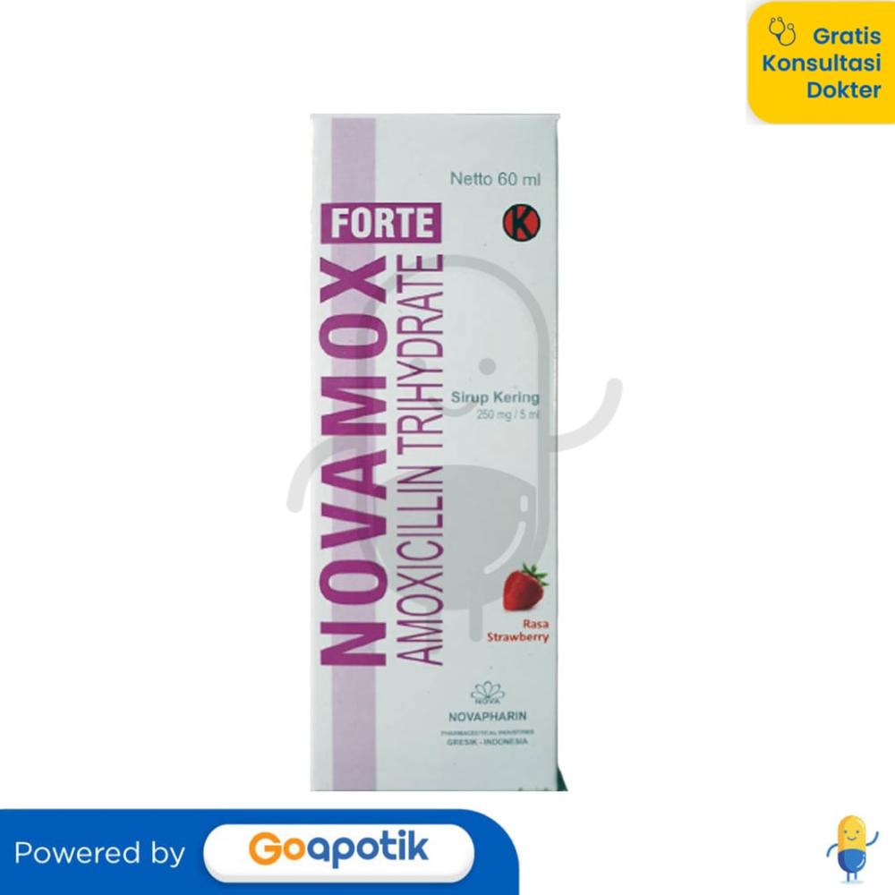 NOVAMOX FORTE 250 MG/5 ML DRY SYRUP 60 ML