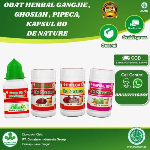 NEW Obat Herbal Sipilis Atau Gonore Paket Lengkap De Nature