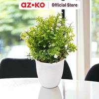 Gambar AZKO Arthome Bunga Artifisial Grass Star Dengan Pot 8x8x20 cm Artificial Flower Bunga Hias Indoor Bunga Sintetis Bunga Plastik Imitasi - Oranye dari AZKO ID Kota Administrasi Jakarta Pusat 2 Tokopedia