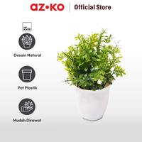 Gambar AZKO Arthome Bunga Artifisial Grass Star Dengan Pot 8x8x20 cm Artificial Flower Bunga Hias Indoor Bunga Sintetis Bunga Plastik Imitasi - Oranye dari AZKO ID Kota Administrasi Jakarta Pusat 3 Tokopedia
