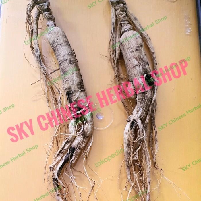 Panax Ginseng Root / Ye Shan Ren Shen / Nyin Som Akar Jen Sen Stamina
