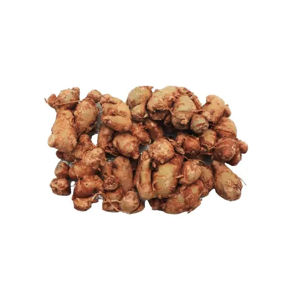 KENCUR SEGAR 250-260 GRAM
