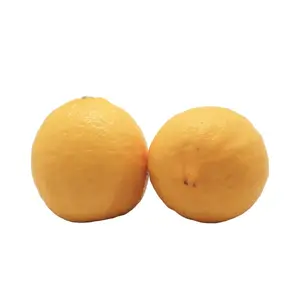 BUAH LEMON IMPORT 670-700 GR