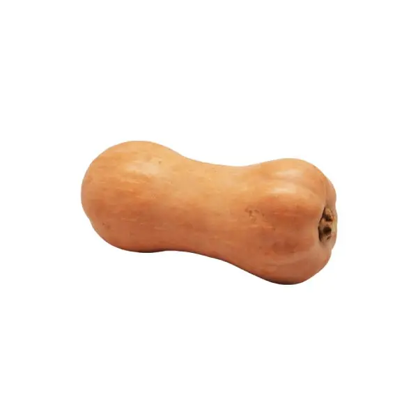 PUMPKIN BUTTERNUT 1300-1400 GR