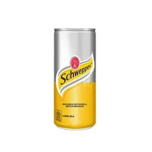 SCHWEPPES BOTANICAL DRINK 250ML