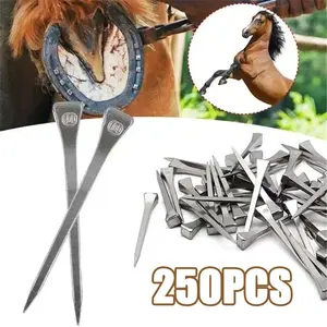 250 Pcs E3 Paku Kuda Stainless Steel Paku Sepatu Tapal Kuda Pacu Hingga Tunggang Paku Sepatu Kuda Paku Kuda Yuan