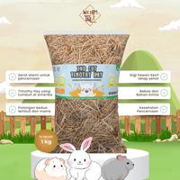 Gambar WORMTAIL Rumput  Premium 2nd Cut Timothy Hay 1kg dari Pet Republic Indonesia Kota Administrasi Jakarta Utara 1 Tokopedia