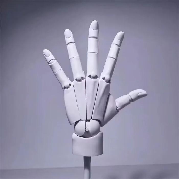 Jual Articulated Hand Model Drawing Figurine Sketch Artist Painting ...