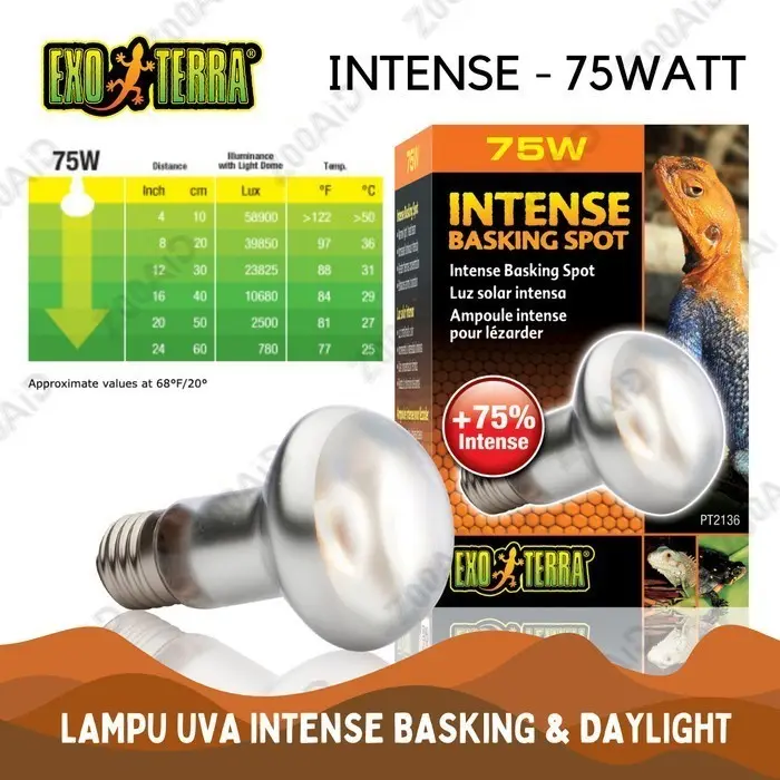 Jual LAMPU UVA EXOTERRA INTENSE DAYLIGHT BASKING PENGHANGAT REPTIL ...