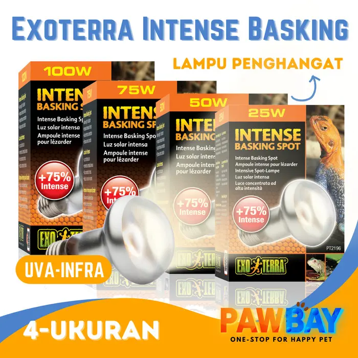 EXOTERRA LAMPU UVA INTENSE BASKING SPOT PENGHANGAT REPTIL SULCATA KURA