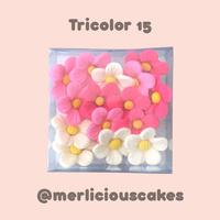 Gambar Tricolor 15 Pink Bunga Gumpaste Flower Cake Kue Topper dari Merlicious Cakes Kota Administrasi Jakarta Pusat 1 Tokopedia