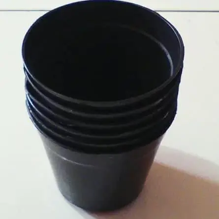 pot kaktus - pot bunga plastik hitam - diameter 10cm 0