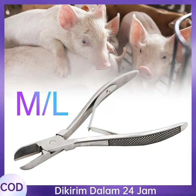 14cm/12.5cm Pemotong Gigi Babi Stainless Steel Tooth Plier Scissors For Piglet Teeth Tang Alat Potong Gigi Hewan