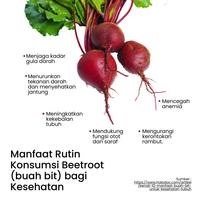 Gambar Herbilogy Beet Extract Powder 75 gr - Bubuk Ekstrak Buah Bit dari Menteng Farma Kota Administrasi Jakarta Pusat 3 Tokopedia