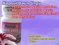 Gambar Kapsul daun ungu, penyembuh wasir dari Grosir Herbal Murah Kota Malang 1 Tokopedia