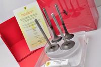 Gambar Ferrari F1 F2002 Valve / Katup Ferrari F2002 dari Eurocarparts Jakarta Kab. Tangerang 1 Tokopedia