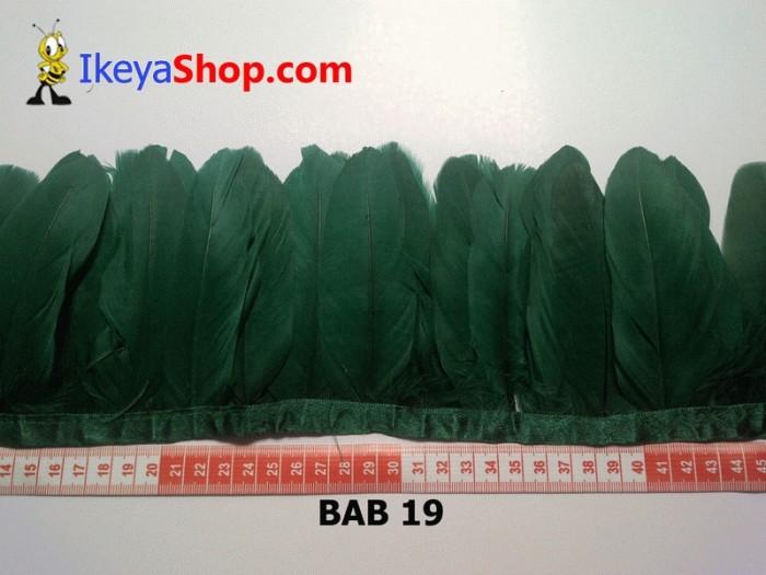 Gambar Bulu Angsa Hijau paling tua (BAB 19) dari ikeyashop Kota Surabaya Tokopedia