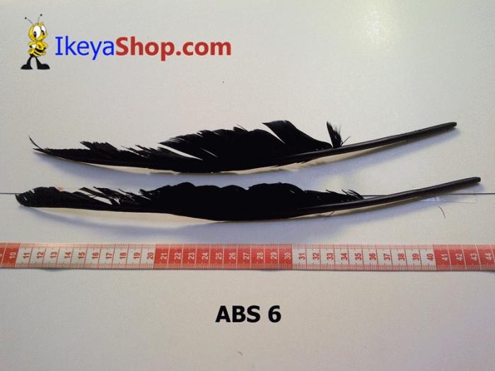 Gambar Bulu Angsa Besar Hitam (ABS 6) dari ikeyashop Kota Surabaya Tokopedia
