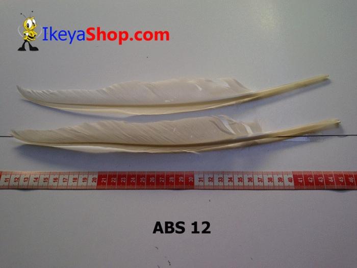 Gambar Bulu Angsa Besar Putih bersih (ABS 12) dari ikeyashop Kota Surabaya Tokopedia