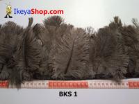 Gambar Bulu Kasuari Coklat meteran (BKS 1) dari ikeyashop Kota Surabaya 1 Tokopedia