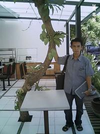 Gambar Pupuk Hi-Tech Nongfeng Mangga dari ozyshop, BANYUMAS Kab. Banyumas 2 Tokopedia