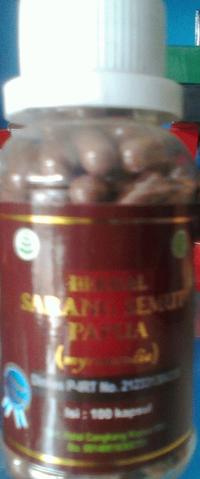Gambar Sarang semut ums 100kps dari khazanahherbal589 Kota Bekasi 1 Tokopedia