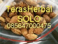 Gambar Almond Roasted ( Kacang ) 250 USA - California dari TERAS HERBAL Solo Kab. Sukoharjo 1 Tokopedia