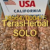 Gambar Almond Roasted (Kacang Panggang) USA 500gr dari TERAS HERBAL Solo Kab. Sukoharjo 1 Tokopedia