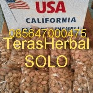 Gambar Almond Roasted (Kacang Panggang) USA 500gr dari TERAS HERBAL Solo Kab. Sukoharjo Tokopedia