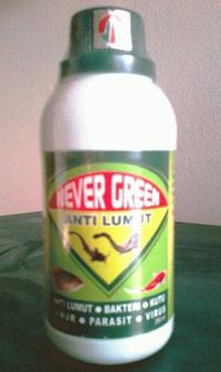 Gambar NEVER GREEN 250 ml - Anti Lumut Untuk Air Kolam Tawar/ Tambak dari Wina Pet and Poultry Kota Semarang 2 Tokopedia