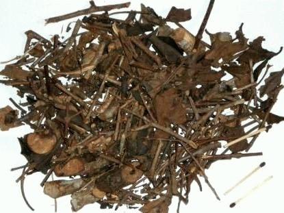 Gambar Benalu Teh dari Rumah Rempah Manisha Solo Kota Surakarta Tokopedia