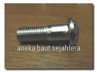 Gambar Baut Bintang M10x30 dari ANEKA BAUT SEJAHTERA Kab. Bekasi 1 Tokopedia