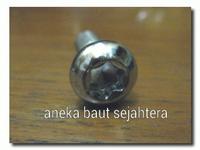 Gambar Baut Bintang M10x30 dari ANEKA BAUT SEJAHTERA Kab. Bekasi 2 Tokopedia