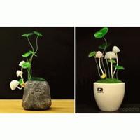 Gambar lampu jamur avatar dari me and mom jimbaran Kab. Badung 1 Tokopedia