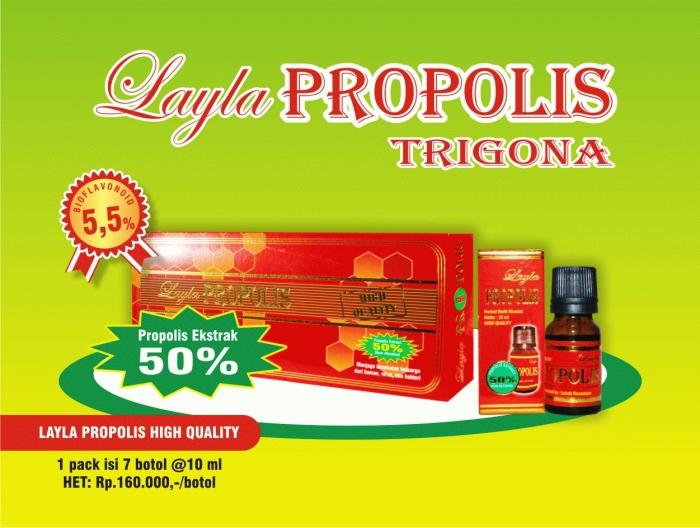 Gambar PROPOLIS TRIGONA LAYLA (highqualitypropolistrigona ASLI 100%) dari TERAS HERBAL Solo Kab. Sukoharjo Tokopedia