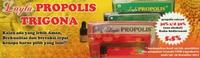 Gambar PROPOLIS TRIGONA LAYLA (highqualitypropolistrigona ASLI 100%) dari TERAS HERBAL Solo Kab. Sukoharjo 3 Tokopedia