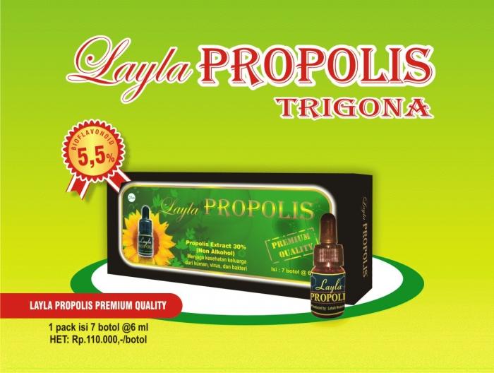 Gambar PROPOLIS TRIGONA LAYLA (premiumqualitypropolistrigona ASLI 100%) ECERAN dari TERAS HERBAL Solo Kab. Sukoharjo Tokopedia